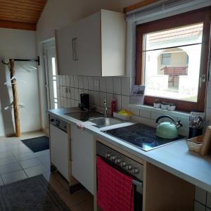 LócsJäger-Lodge的厨房配有水槽和炉灶 顶部烤箱