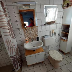 LócsJäger-Lodge的一间带水槽和卫生间的小浴室