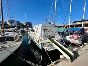 巴塞罗那Cozy private two rooms yacht in Barcelona - boat in Port Forum的一群船停靠在码头