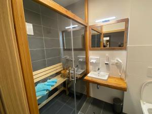 上陶恩Alpenhotel & Aparthotel Lanz的一间带水槽和淋浴的浴室