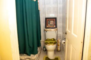 Arnos ValePRI Guest House的浴室设有卫生间和绿色淋浴帘