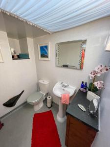 凯珀尔克里格5 Star Shepherds Hut in Betws y Coed with Mountain View的一间带卫生间、水槽和镜子的浴室