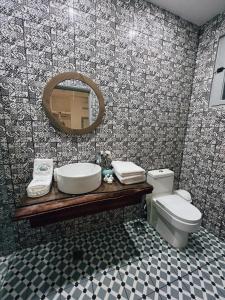 圣多明各Mosquito Boutique Hotel Zona Colonial的一间带水槽、卫生间和镜子的浴室