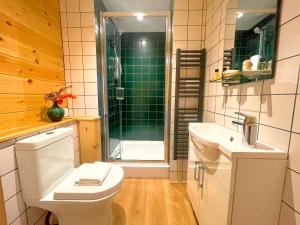 比代尔High Parks的浴室配有卫生间、淋浴和盥洗盆。
