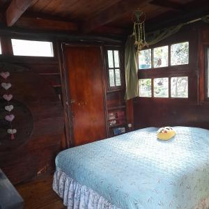 San AntonioSelva Nuez的一间设有床铺的卧室,位于带窗户的房间内