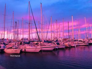 莫纳斯提尔Private Apartment at Marina Monastir的日落时分停靠在水中的一组船