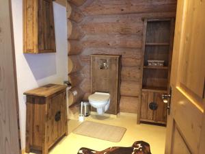 乌姆豪森Holzberghof的一间带卫生间和木墙的浴室