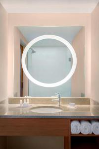 Bellport长岛布莱克海文春季山丘套房酒店的一间带水槽和大镜子的浴室