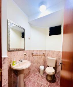 苏克雷Departamento de Patricia的一间带水槽、卫生间和镜子的浴室