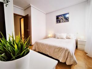 圣波拉Bonita casa al lado de la playa en Santa Pola的一间白色的卧室,配有床和盆栽植物