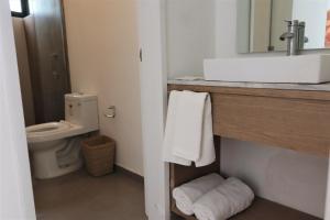 瓜达拉哈拉Expo Satelite Hotel & Suites的浴室配有白色水槽和卫生间。