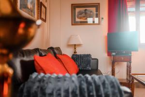 格拉纳达Apartamentos en pleno centro, Aljibe Rodrigo del Campo 2A的客厅配有带红色枕头的黑色皮沙发