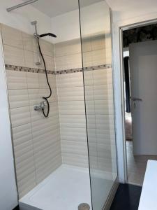 列日Le cocon de la belle liégeoise的浴室里设有玻璃门淋浴