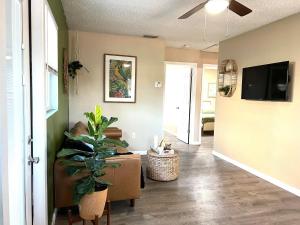 坦帕Tropical Casita in Tampa near airport and Raymond James stadium的一间带植物和电视的客厅