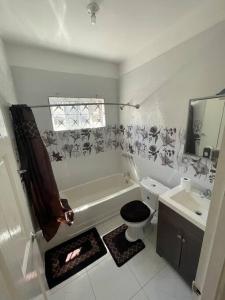 波特莫尔Mount Royal Estate Cozy Comfort的带浴缸、卫生间和盥洗盆的浴室
