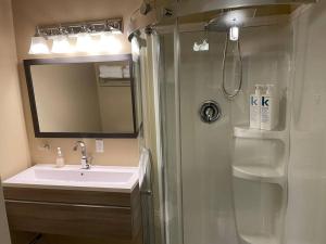 辛普森堡Cozy Furnished Apartment的浴室配有盥洗盆和带镜子的淋浴