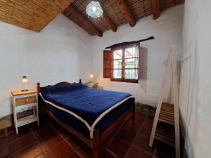 蒂尔卡拉Casa en Tilcara con hermosa galería的一间卧室设有一张床、一个窗口和梯子