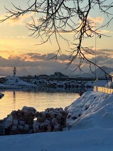 卡伯尔沃格Lofoten Kabelvåg-small apartment的水体旁的雪地灯塔