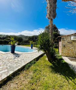 巴勒莫Villa Inserra Deluxe的一个带游泳池和棕榈树的后院