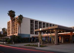 雷东多海滩Sonesta Redondo Beach and Marina的一座酒店大楼前面有棕榈树
