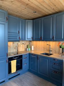 尤坎Gaustablikk Sportshytte midt i naturen的蓝色的厨房,配有蓝色的橱柜和水槽