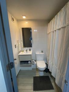 圣地亚哥Apartamento en Santiago centro cerca de movistar arena, caupolican的浴室配有白色卫生间和盥洗盆。