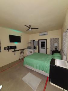 FrenchtownHome Away!的一间卧室配有绿色的床和一台平面电视