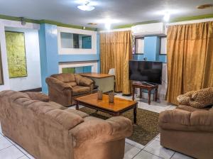 马那瓜Hotel Fuente de Paz Managua的带沙发和平面电视的客厅