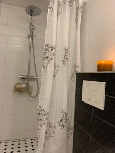 塔尔图Staadioni apartment的带淋浴的浴室内的浴帘