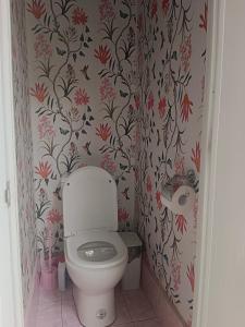 莫阿尔博阿Green Acres Village的一间带卫生间的浴室,配有花卉壁纸
