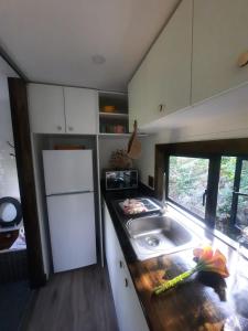 Lovemore ParkTiny Home Trails End的厨房配有水槽和带窗户的台面