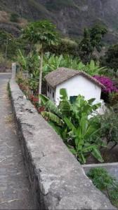 PombasCottage na Ribeira do Paúl的花园中小房子,旁边是墙上
