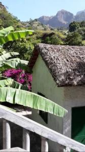 PombasCottage na Ribeira do Paúl的围栏旁一座花紫色的建筑