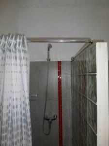 PombasCottage na Ribeira do Paúl的浴室内配有淋浴帘。