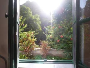 PombasCottage na Ribeira do Paúl的开放式窗户,享有花园的景色