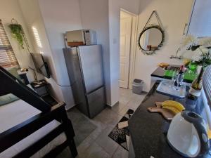 帕拉佩Casa-Pel Tiny House的厨房配有水槽和冰箱