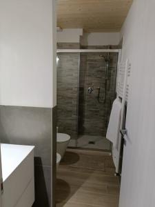 西维尔诺瓦·马尔凯SABOTINO APARTMENT的带淋浴、卫生间和盥洗盆的浴室