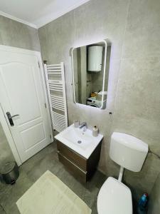 SurčinMuki apartments的一间带水槽、卫生间和镜子的浴室