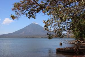 AltagraciaLa Sirenita - Ometepe的从带树的湖泊欣赏到山景