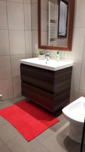 AixovallCal Jan的一间带水槽和红色地毯的浴室
