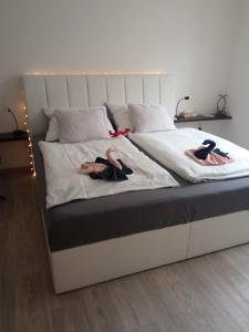布尔诺Academic Apartment Brno (AAB) 2+1 (62 m²)的两个人躺在床上,身着衬衫