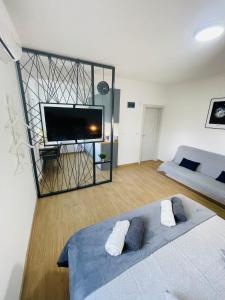 SurčinMuki apartments的客厅配有床和大电视