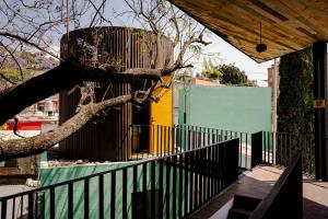 瓦哈卡市Hotel con Corazón的树上挂着鸟笼的栅栏