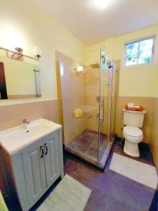 BuccooHighend resort的带淋浴、卫生间和盥洗盆的浴室