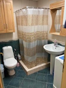 新瓦罗什Apartman Aischa的带淋浴、卫生间和盥洗盆的浴室