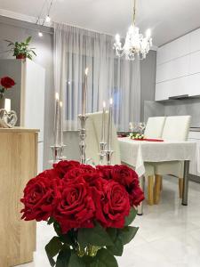 埃格尔Albina apartman的厨房里一束红色玫瑰花