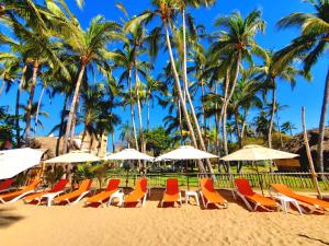 圣法兰西斯克Hotel Ysuri San Pancho的海滩上设有椅子和遮阳伞,棕榈树