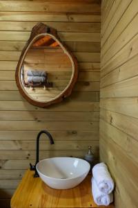 FredoniaGlamping Encanto de Luna的浴室设有白色水槽和镜子