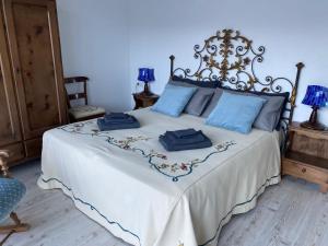 托尔诺B&B Tantané的一间卧室配有一张带蓝色枕头的床。