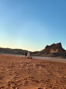 瓦迪拉姆bedouin future camp的一群人走在沙漠中